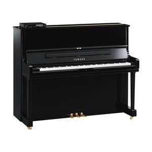 Yamaha DYUS1E3 PE