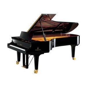 Yamaha CFX PE
