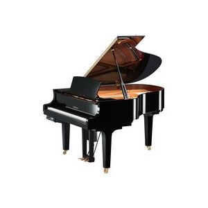 Yamaha DC2E3PE//X