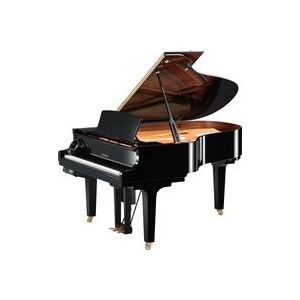 Yamaha DC3E3 PWH//X