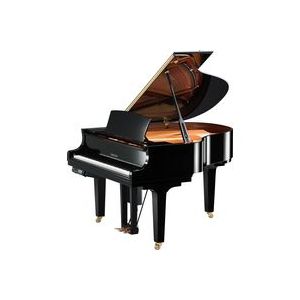 Yamaha DC1E3PWH//X