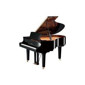 Yamaha C2S PE//X