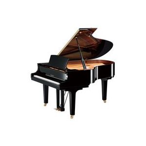 Yamaha C3S PE//X
