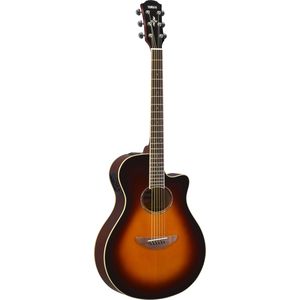 Yamaha APX600 OVS
