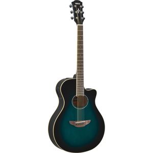 Yamaha APX600 OBB