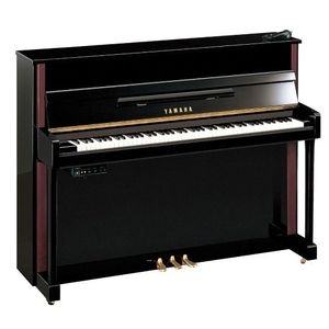 Yamaha JX113T PE SC2