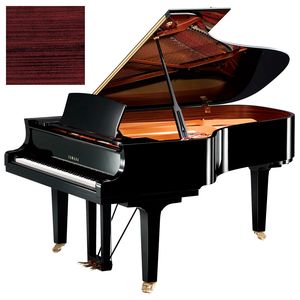 Yamaha C6X PM