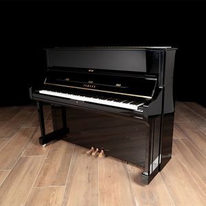 Yamaha DYUS1 ENST PE