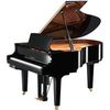 Yamaha DC2E3PE//X